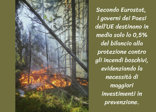 incendi bosco investimenti prevenzione.png
